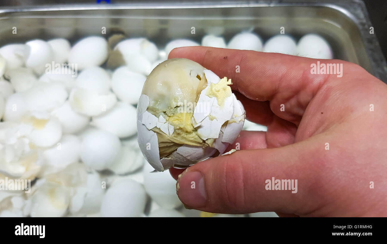 Spoiled egg hi-res stock photography and images - Alamy