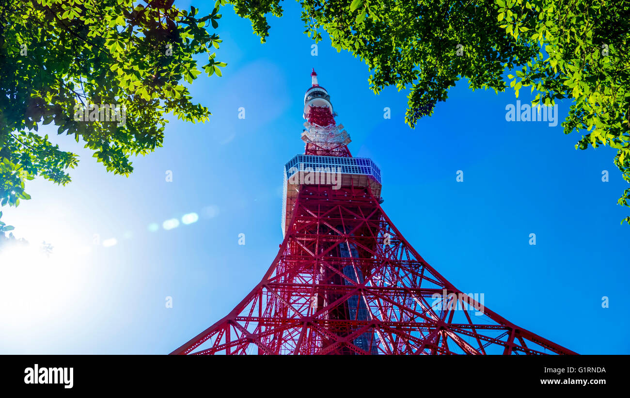 Tokyo sky tree observation deck hi-res stock photography and images - Alamy