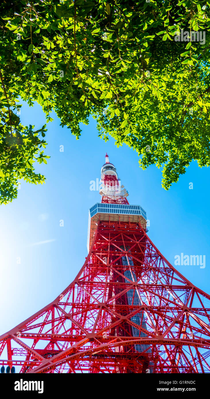 Tokyo ci hi-res stock photography and images - Alamy