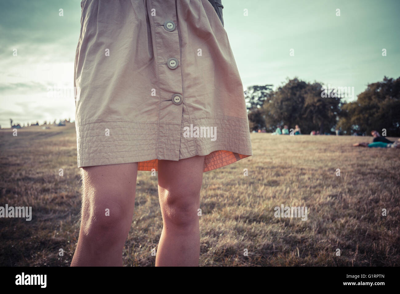 The Breeze Blowing Softly Skirt