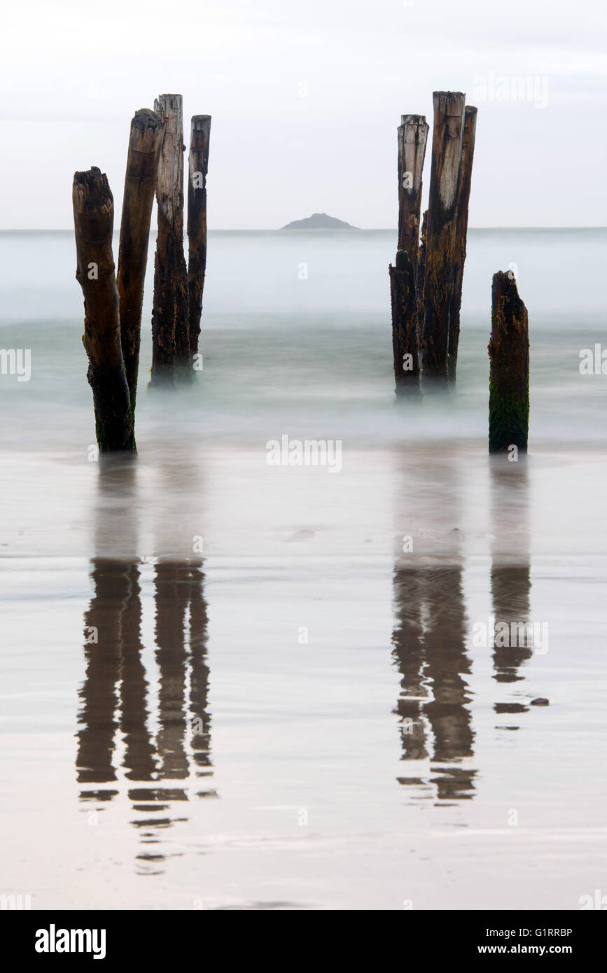 Old jetty piles at St. Clair Beach, Dunedin during sunset, New Zealand Stock Photo