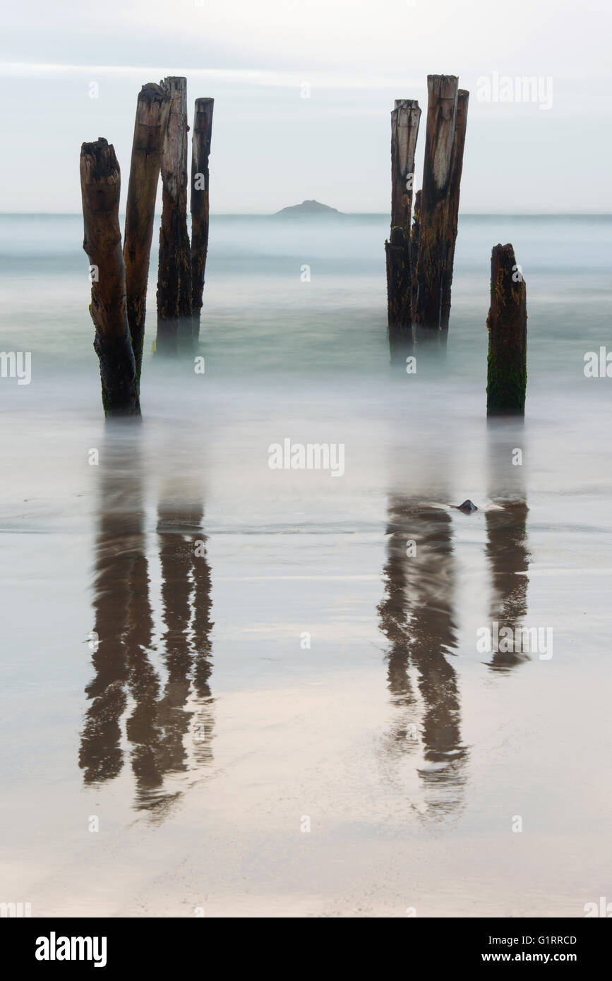 Old jetty piles at St. Clair Beach, Dunedin during sunset, New Zealand Stock Photo