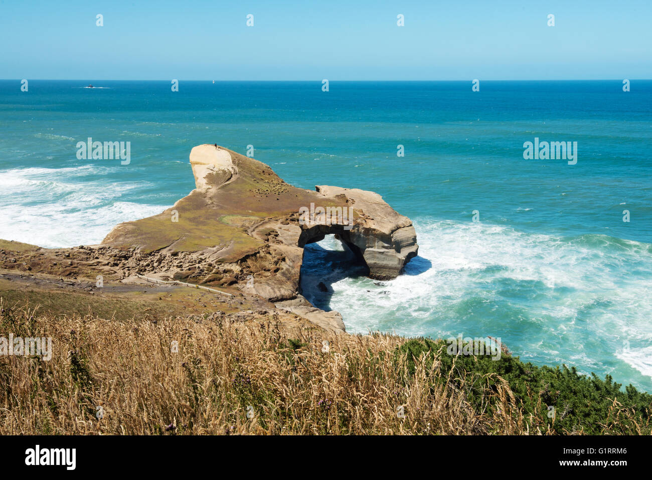 Natural arch at Tunnel beach near Dunedin, New Zealand Stock Photo