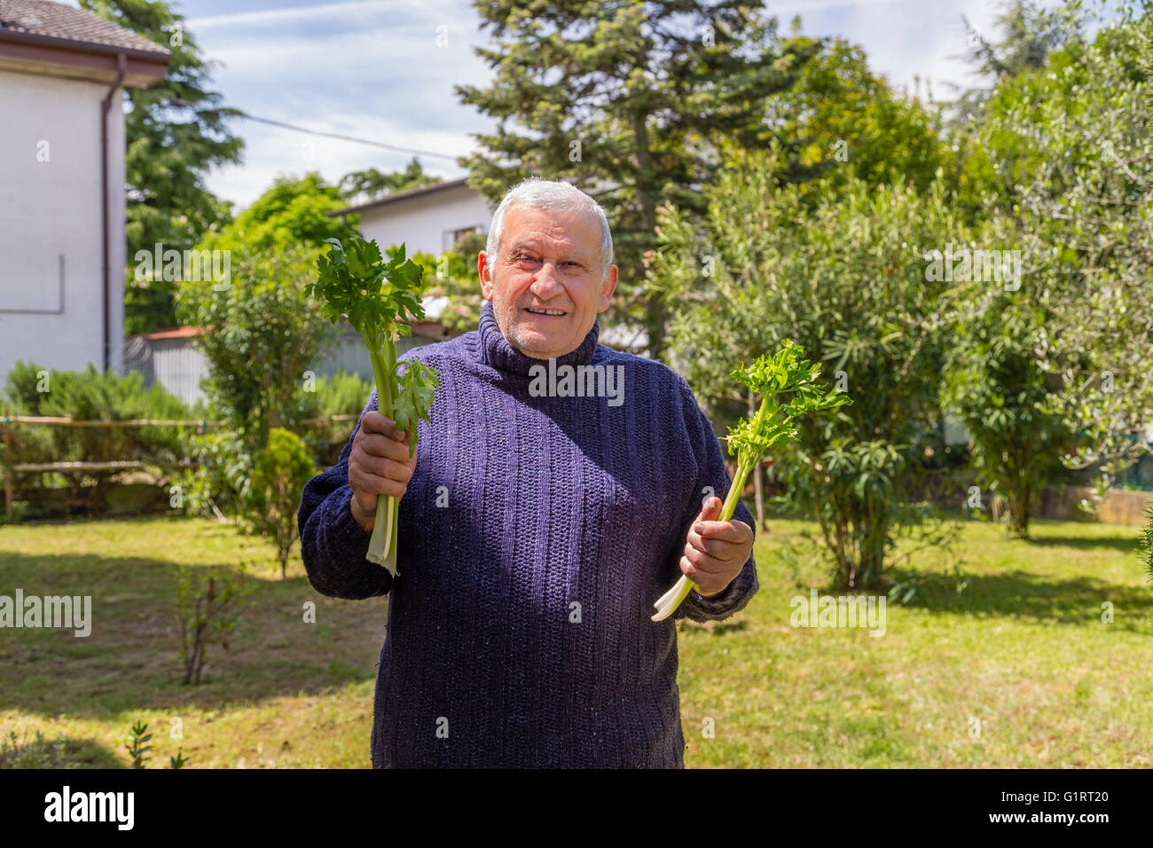 an old man is holding two stalks of celery in his backyard garden Stock Photo