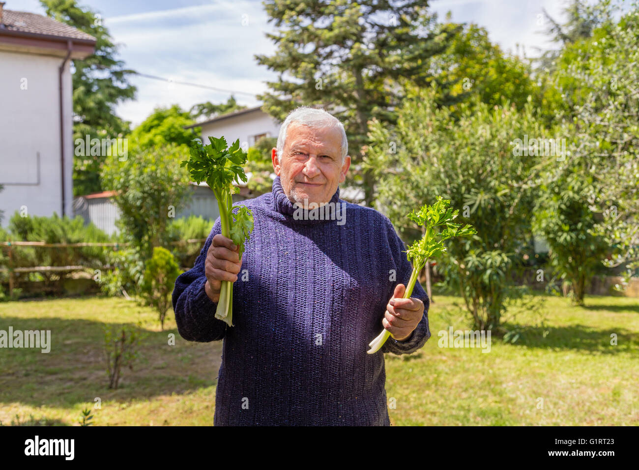 an old man is holding two stalks of celery in his backyard garden Stock Photo