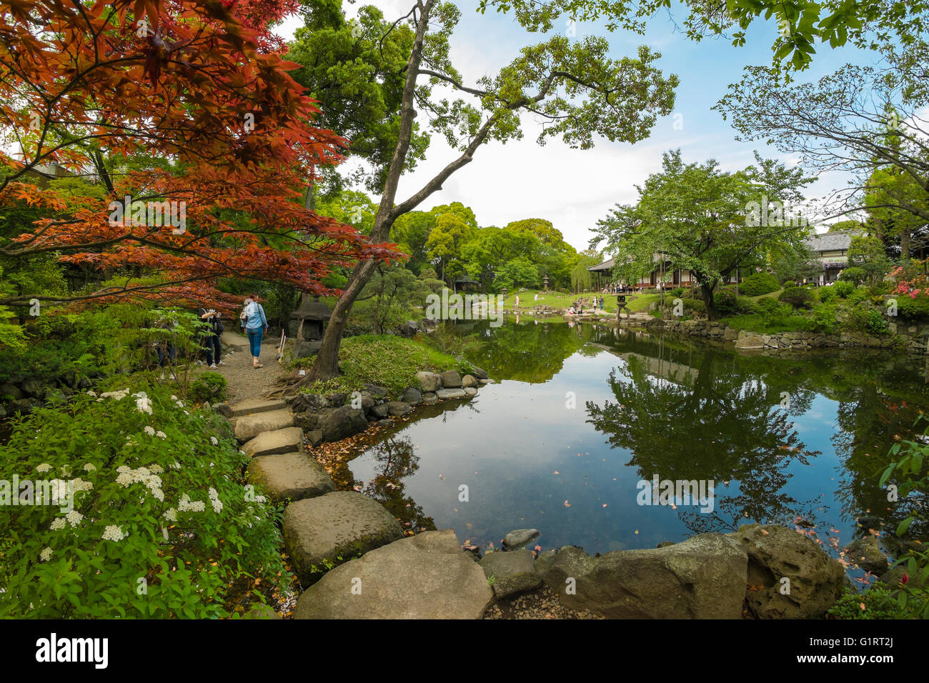 The garden in the buddhist temple in Asakusa, Tokyo Stock Photo