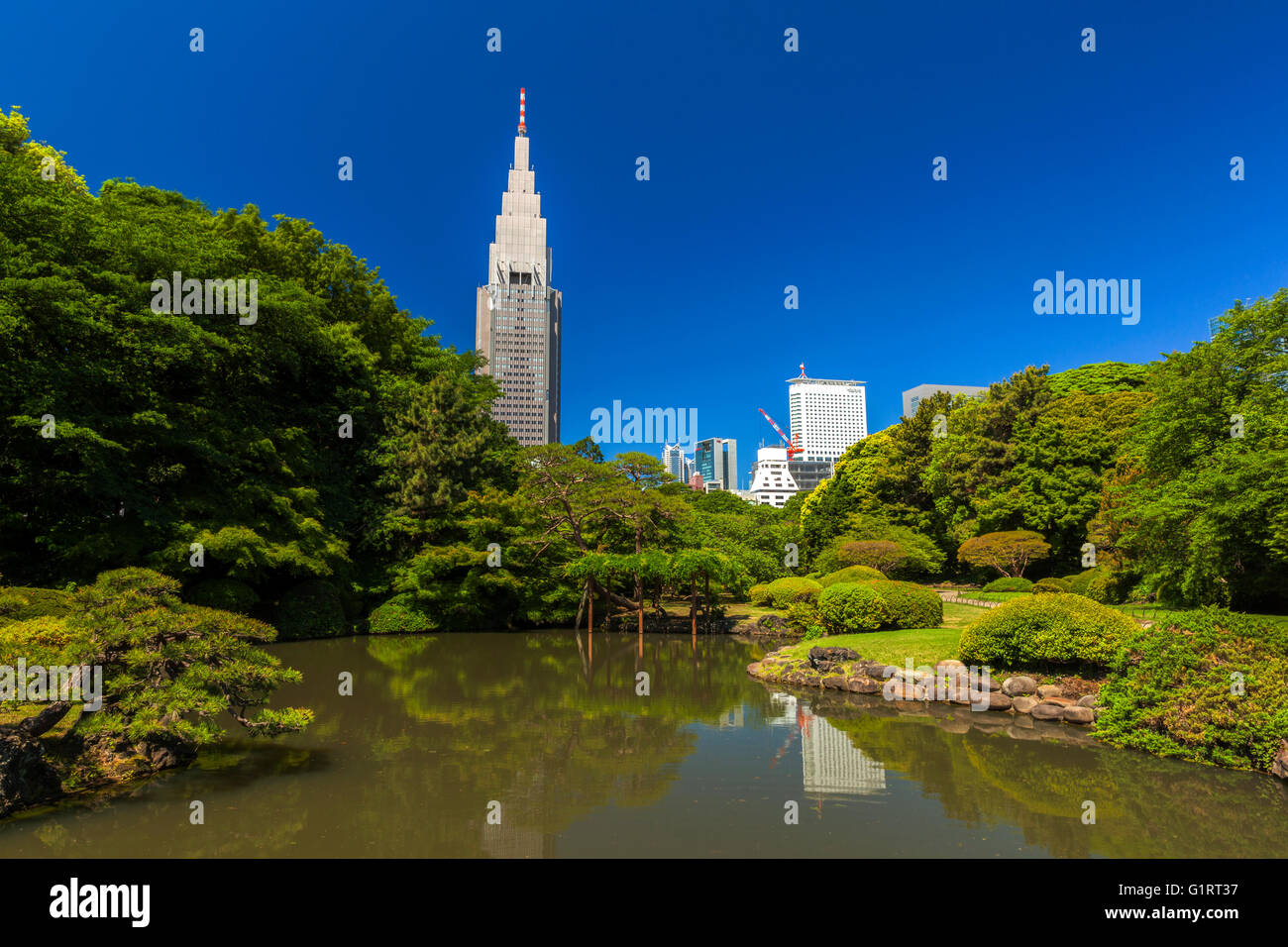Goyen park in Tokyo Stock Photo