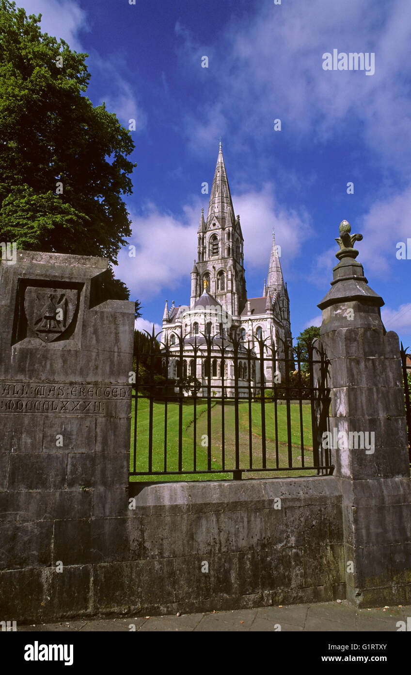 Saint Fin Barre's Cathedral, Cork, Ireland, Europe Stock Photo Alamy