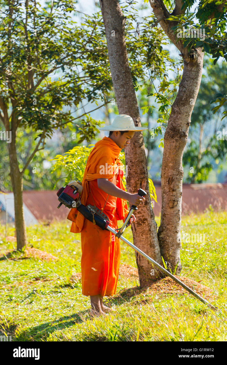 Monk mowing the lawn with a brush cutter or lawn trimmer, Luang Namtha, Luang Namtha, Laos Stock Photo