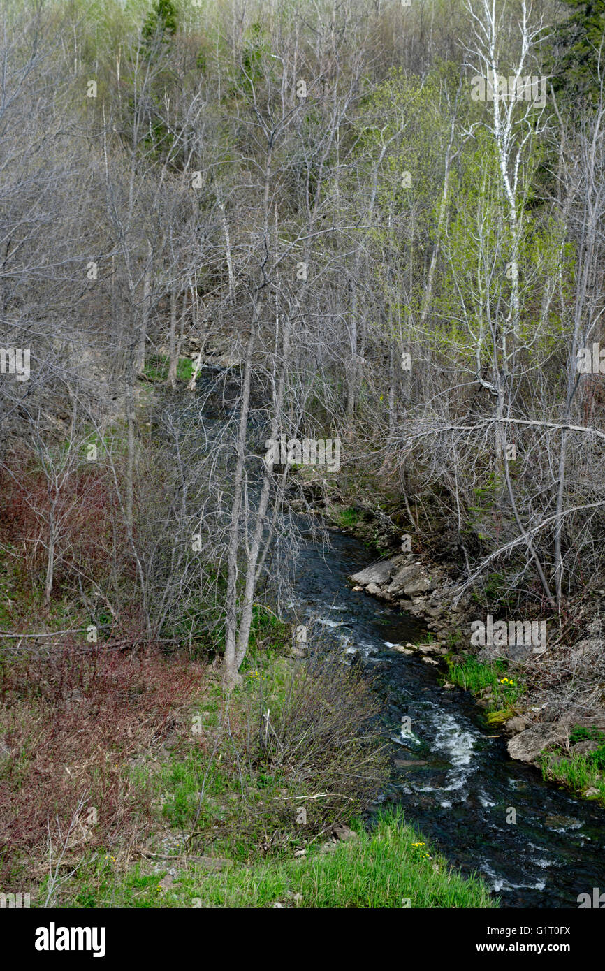 A view of Francis Creek, Manitoulin Island, Ontario Stock Photo Alamy