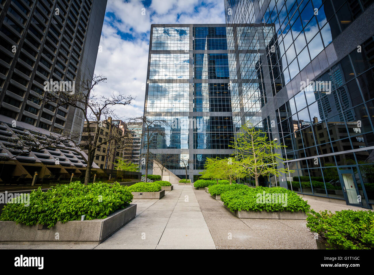 Courtyard and modern buildings in downtown Toronto, Ontario Stock Photo ...