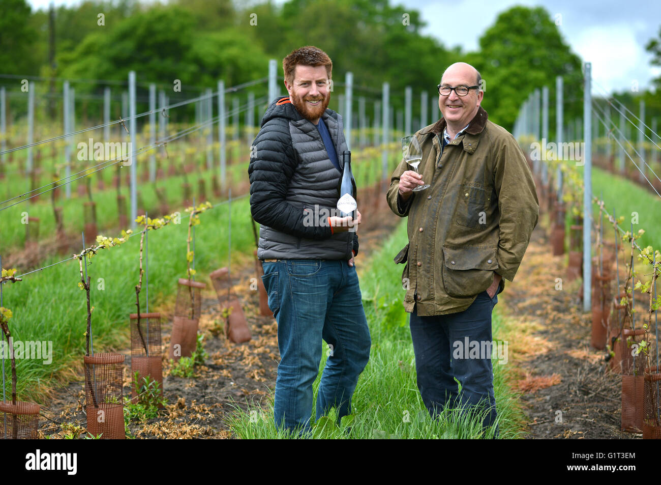 Owen Elias, head winemaker and Paul Cooper, vineyard manager, at Kingscote Vineyard, East Grinstead, UK Stock Photo