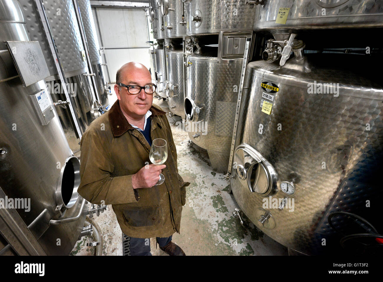 Owen Elias, head winemaker at Kingscote Vineyard, East Grinstead, UK Stock Photo
