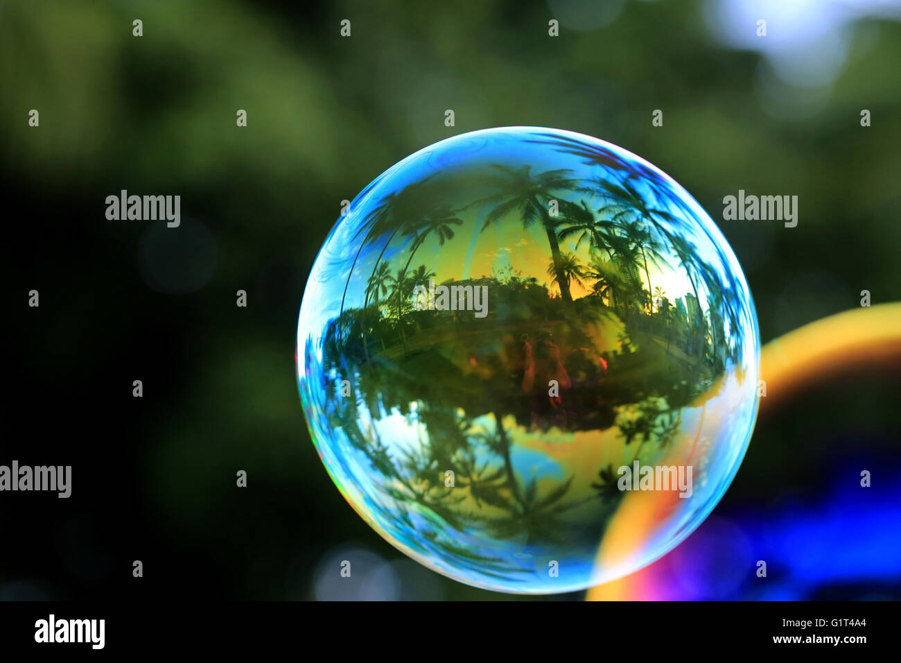 Hawaii reflecting in a beautiful soap bubble, macro Stock Photo - Alamy