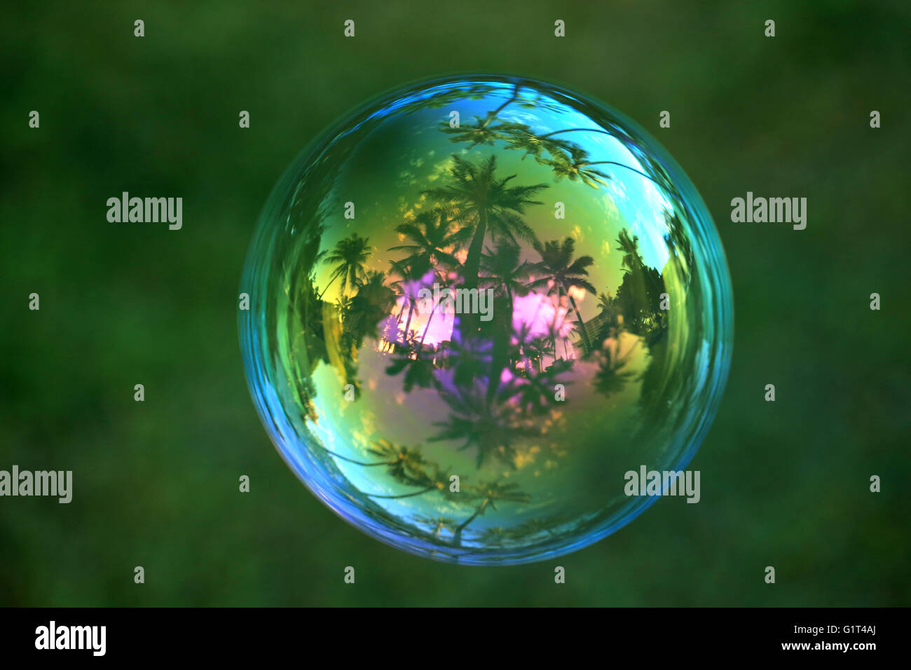 Hawaii reflecting in a beautiful soap bubble, macro Stock Photo - Alamy