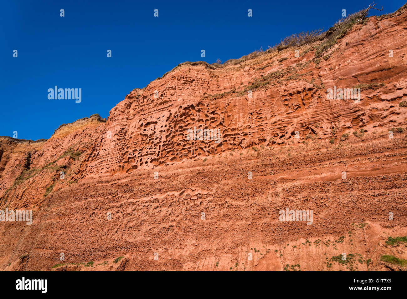 Red cliff, Budleigh Salterton, East Devon, England, United Kingdom Stock Photo