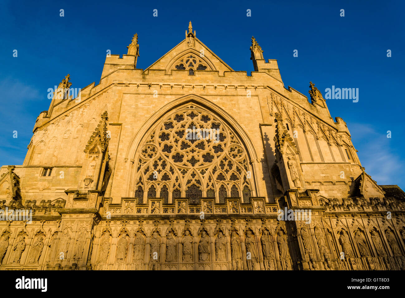 Exeter Images Exeter city light hi-res stock photography and images - Alamy