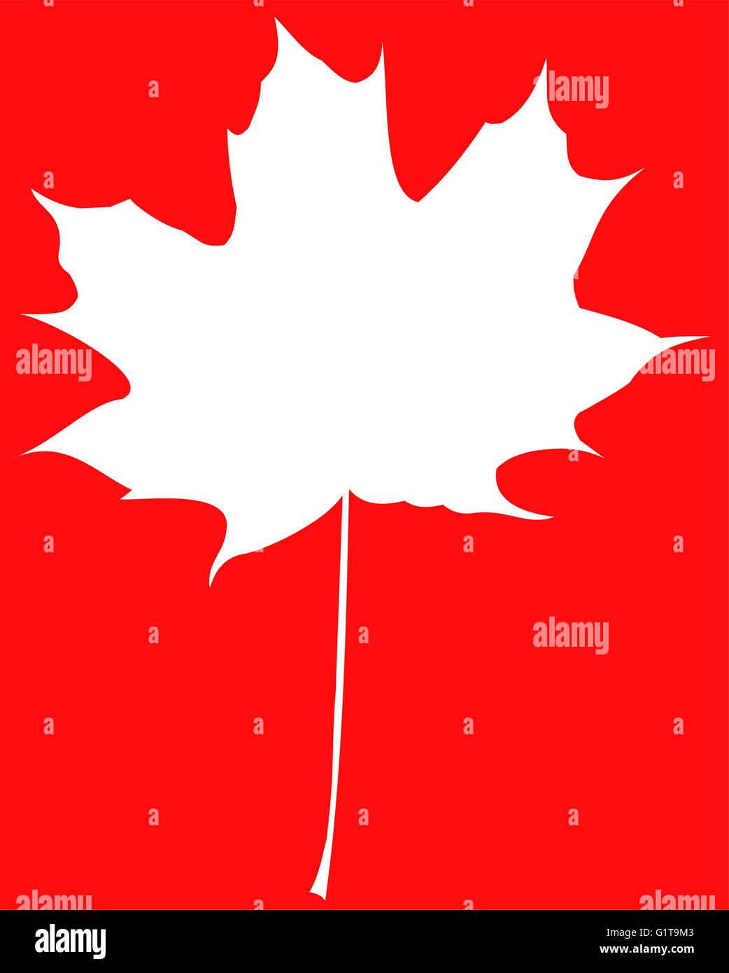 maple, Acer , vector, isolated maple leaf Stock Vector Image & Art - Alamy