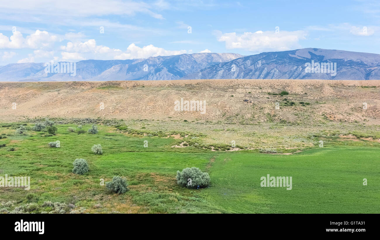 Foothills of Bear Tooth Mountains at dawn on a summer day with sagebrush and grassland . Stock Photo