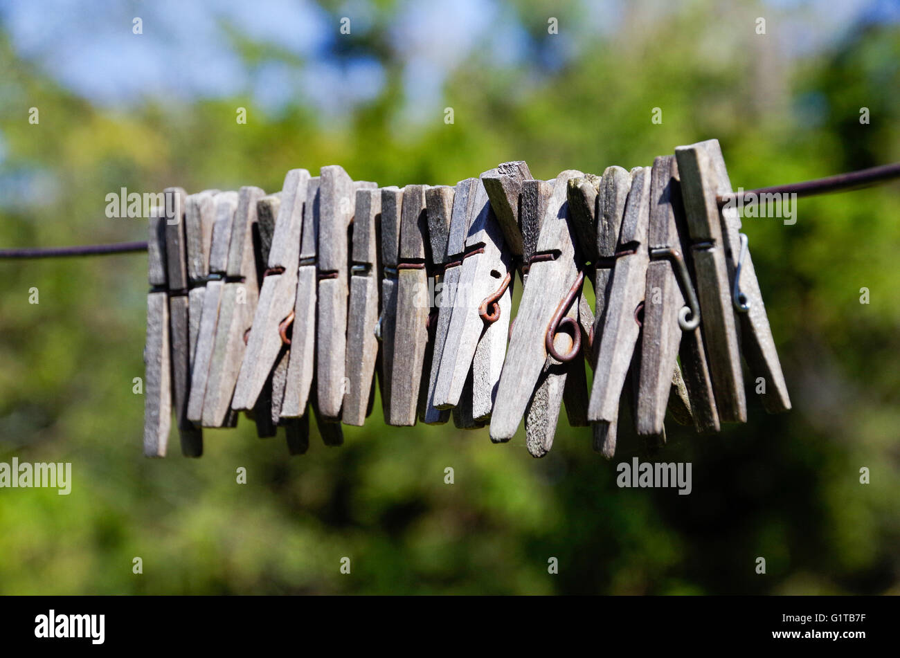 C47 hardwood clothes pins hires stock photography and images Alamy