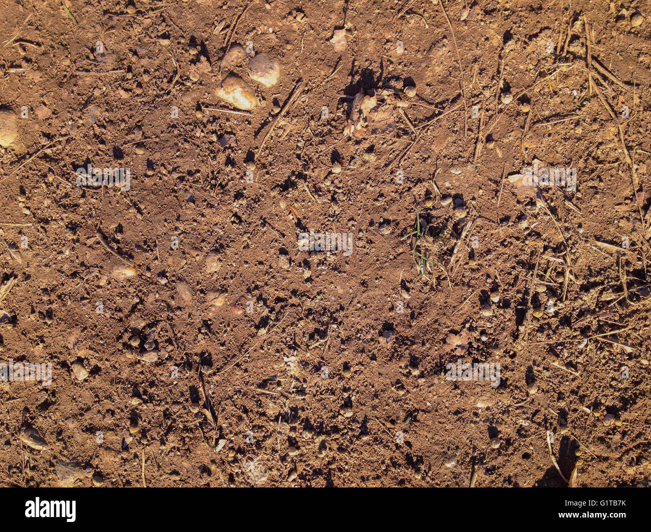 Brown brown soil hi-res stock photography and images - Alamy