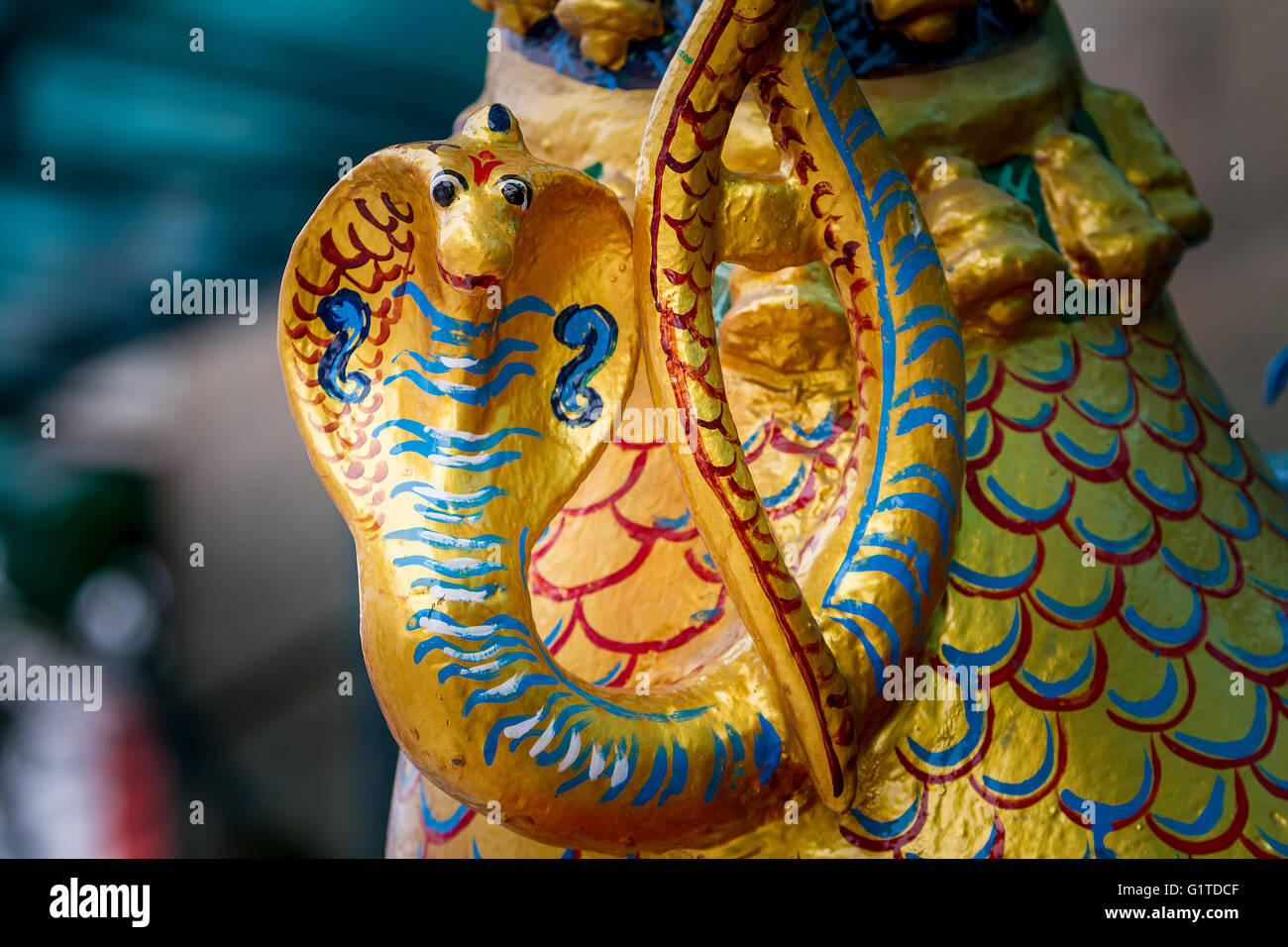 Carving of a Cobra snake wrapped around the neck of a peacock at the Kapaleeshwarar Temple, Mylapore, Chennai, Tamil Nadu, India Stock Photo
