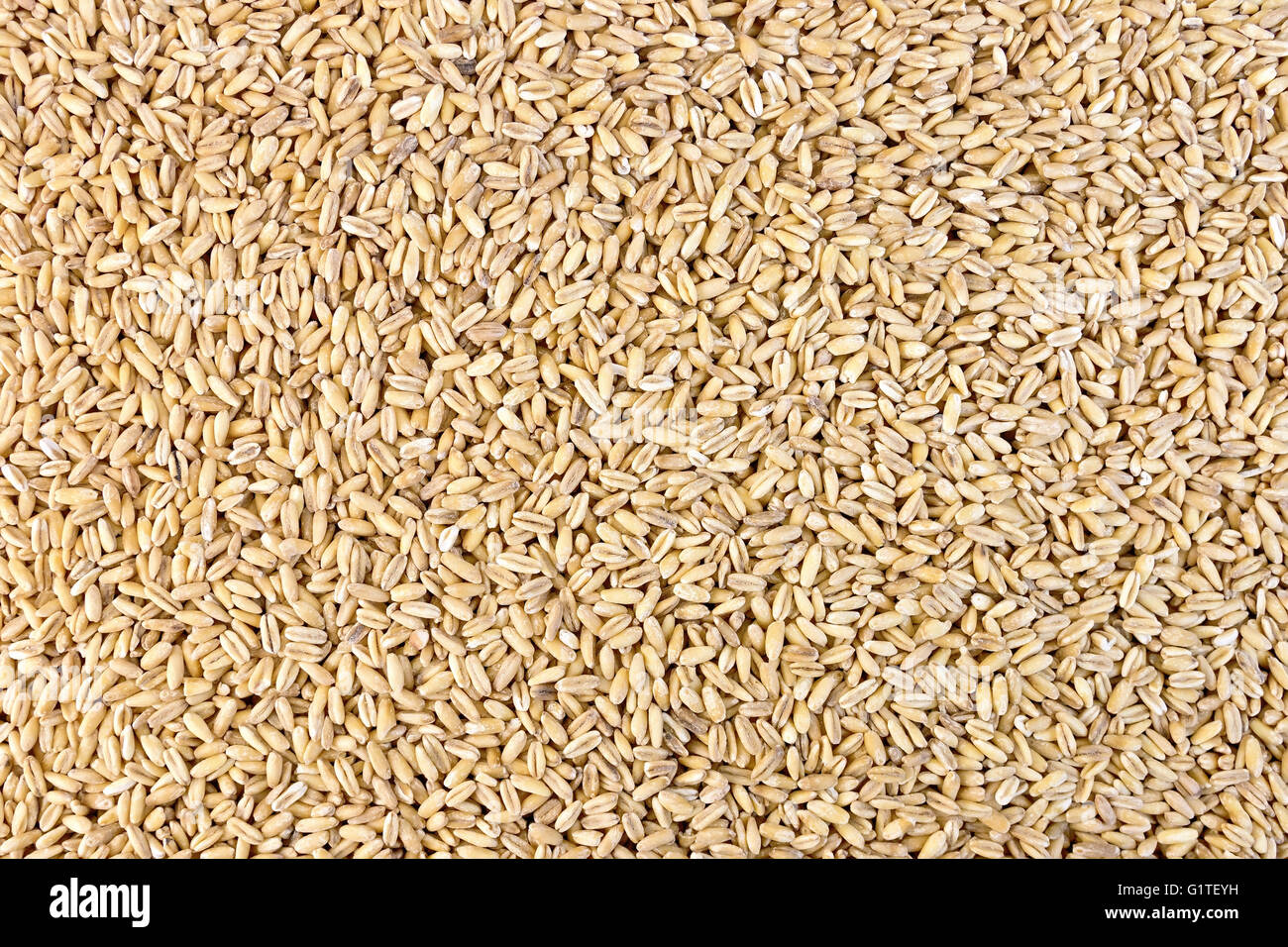 Pearl barley texture Stock Photo Alamy