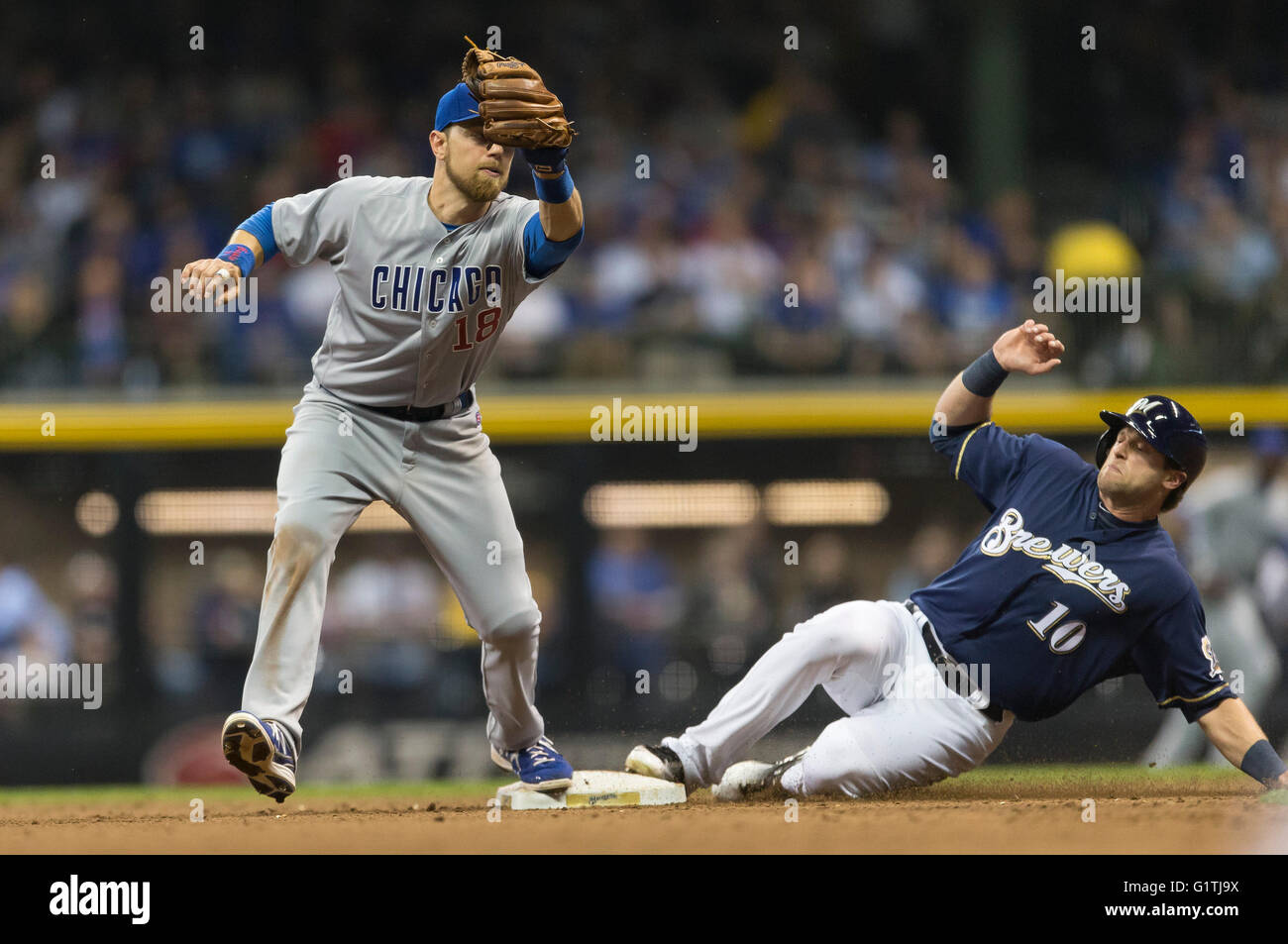 Ben zobrist cubs hi-res stock photography and images - Alamy