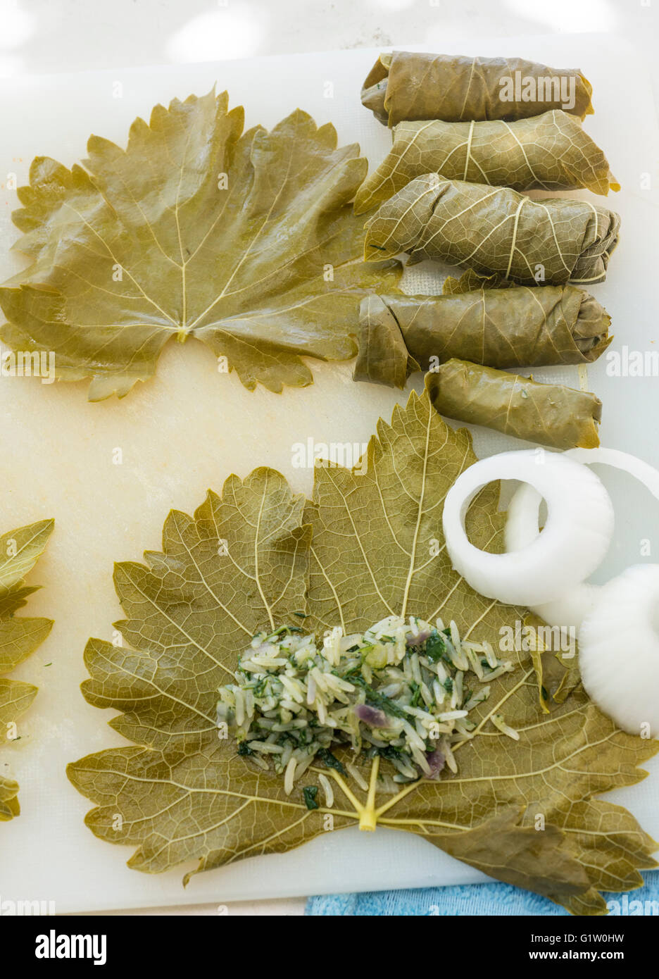 Preparation of stuffed grape leaves with rice Stock Photo Alamy