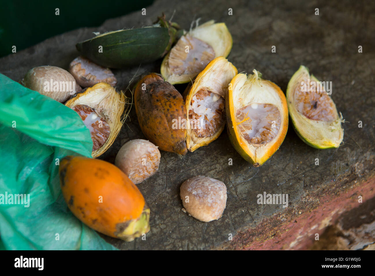 Sri Lanka, Ella, split Areca (betel) nuts Stock Photo