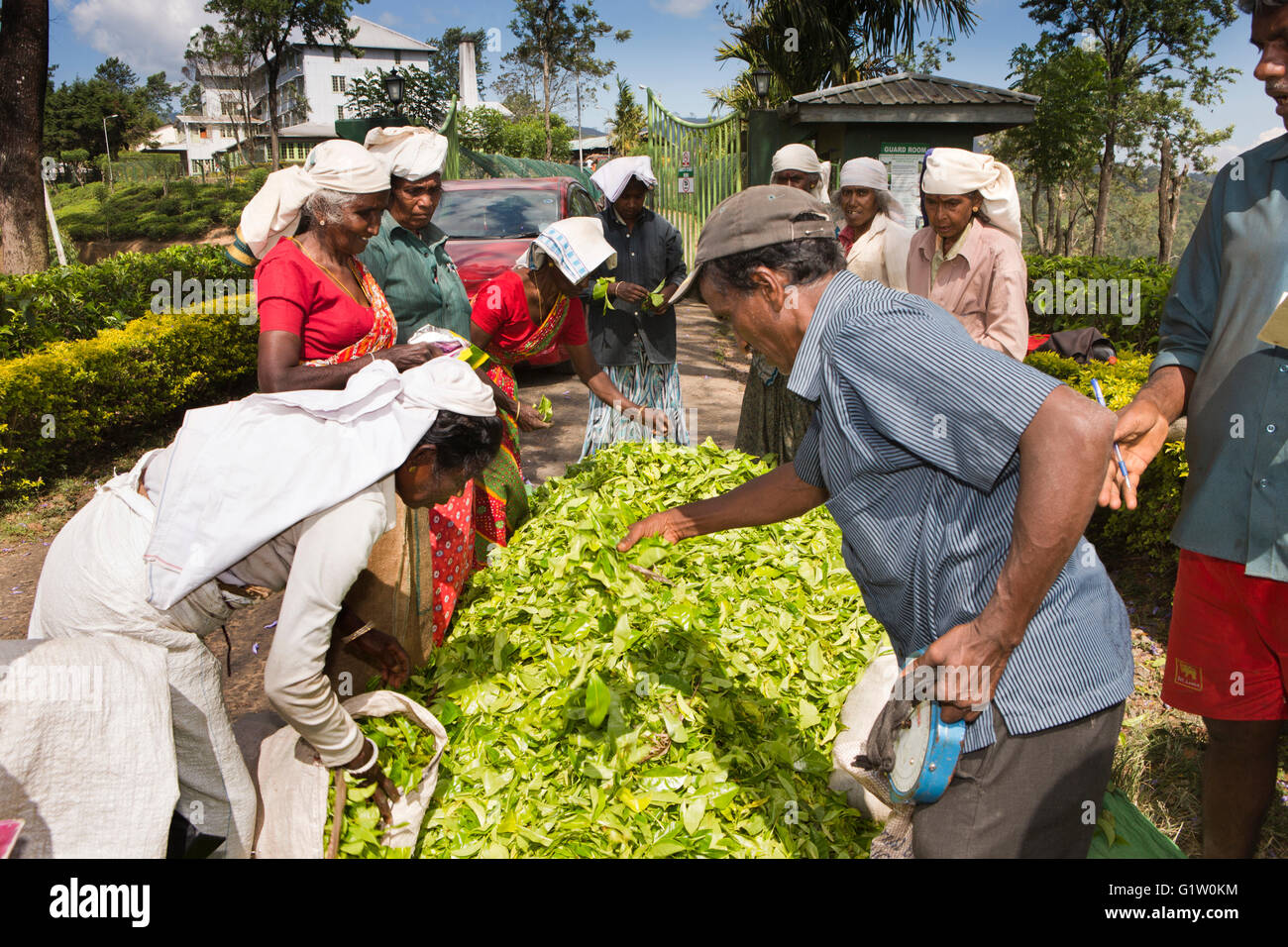 Frauen in sri lanka kennenlernen