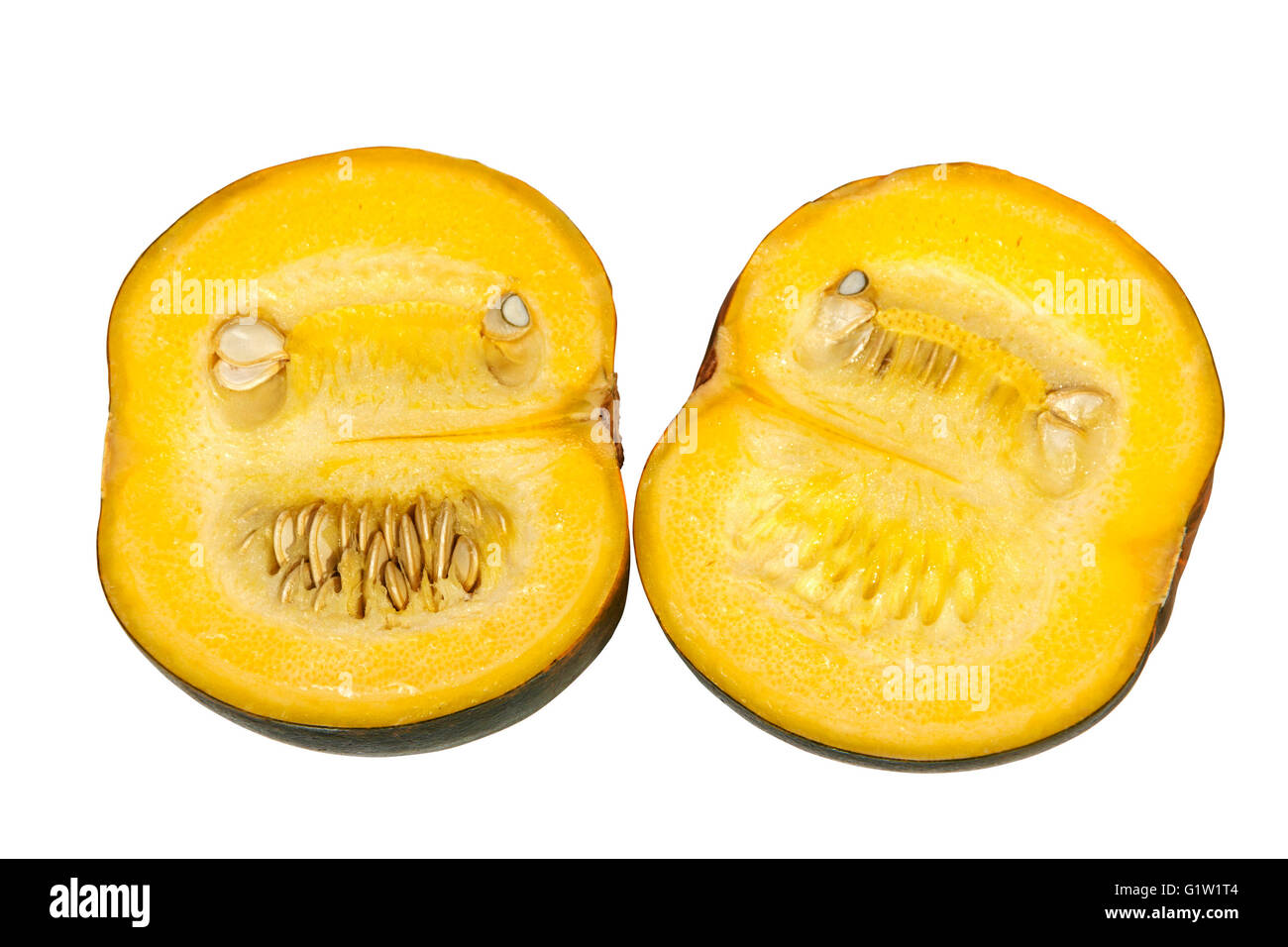 Isolated view of two  freshly cut halves of Gem Squash on white background Stock Photo