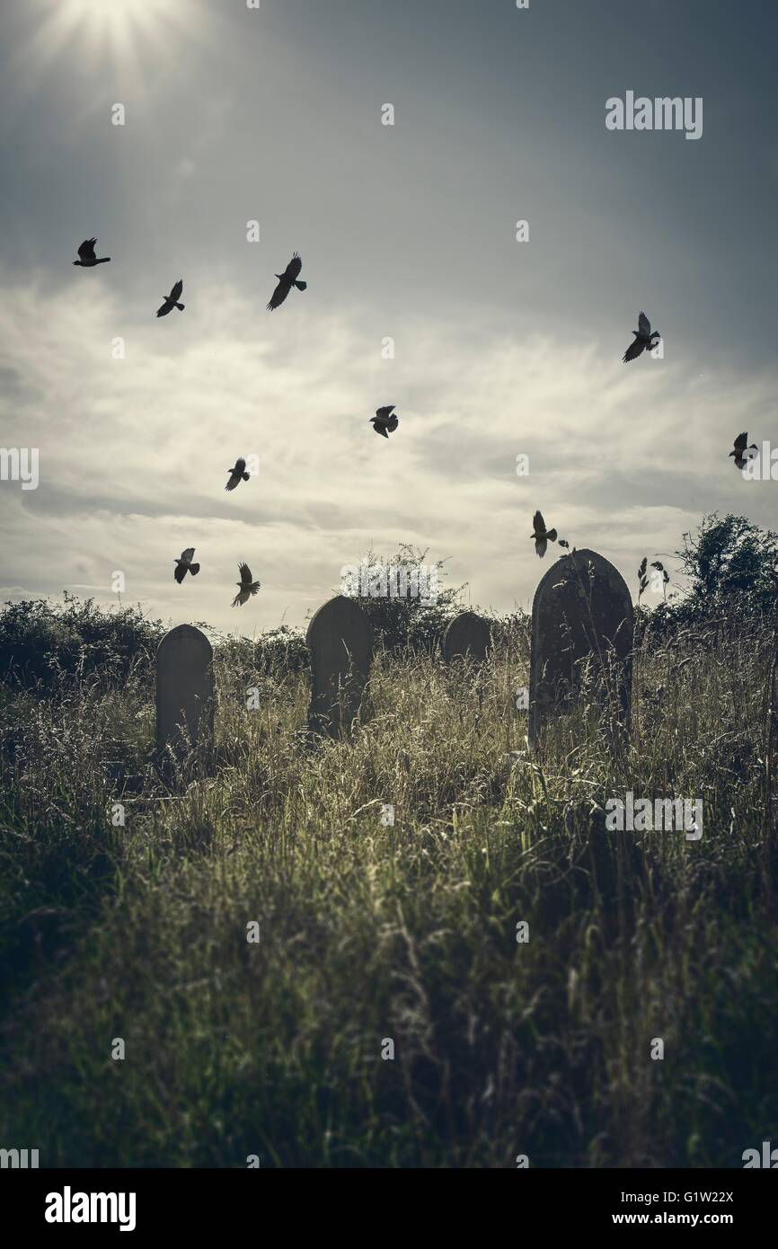 Atmospheric photo of birds flying over a graveyard Stock Photo