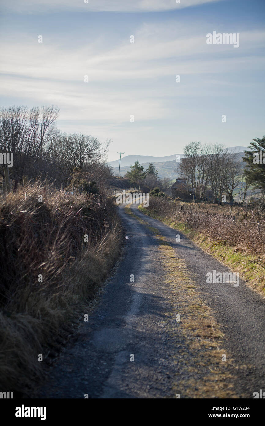 Old bog road in Ireland Stock Photo Alamy