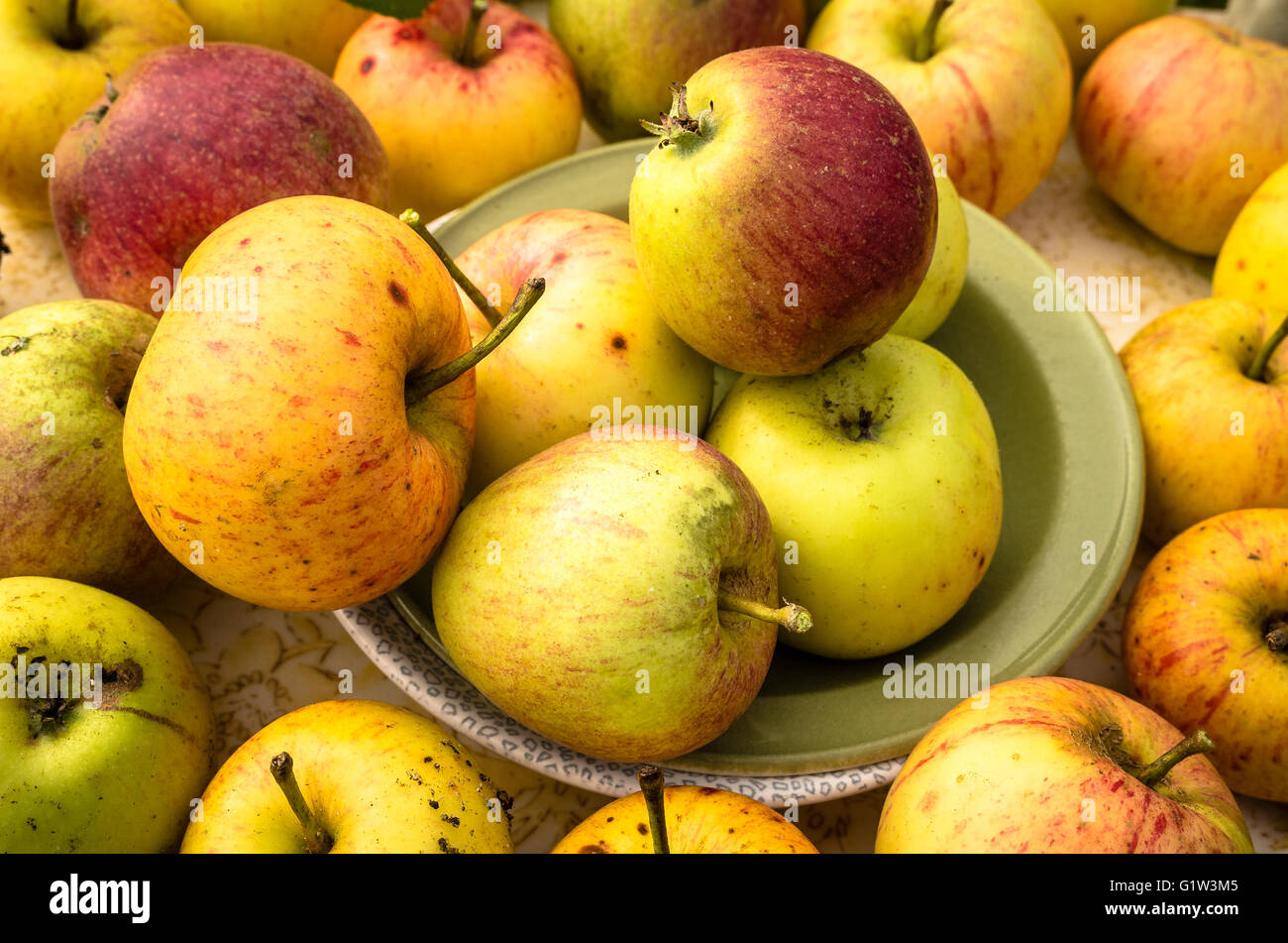 Apple tydemans late orange hires stock photography and images Alamy