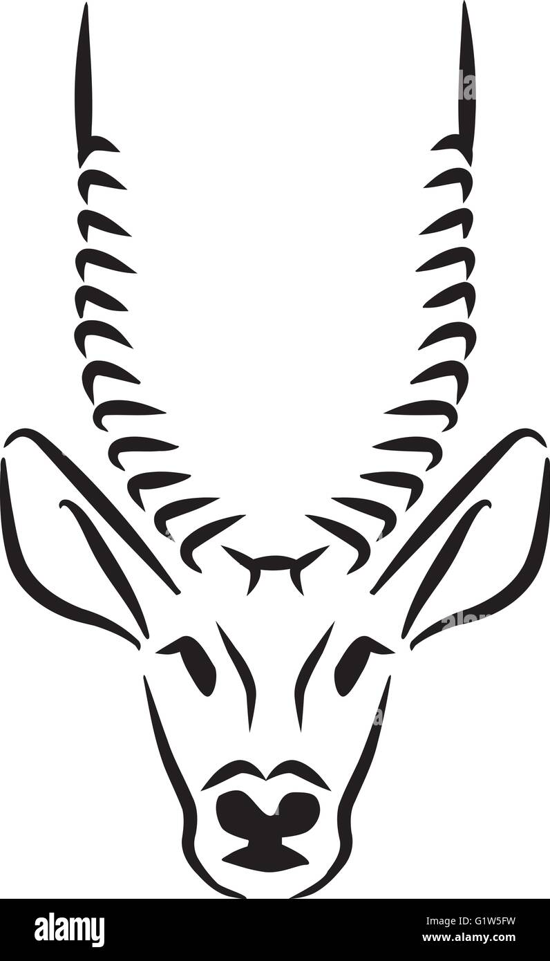 Antelope head hi-res stock photography and images - Alamy