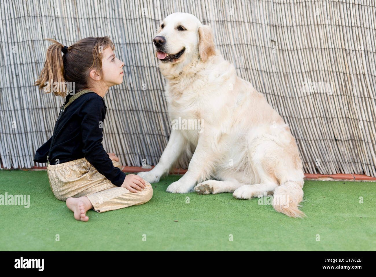 Little girl with her dog with signs of affection Stock Photo - Alamy