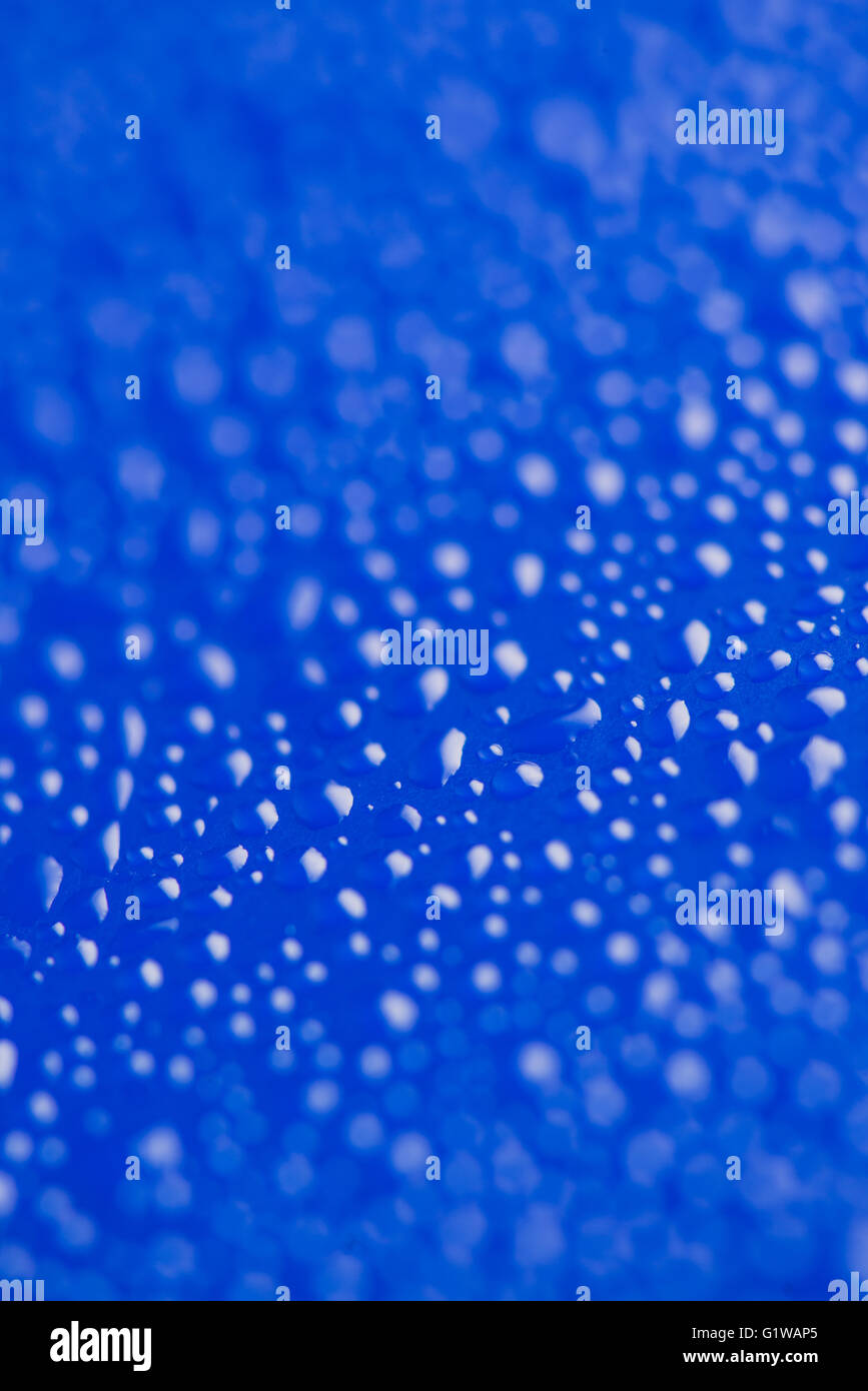 close-up of water drops on the blue background Stock Photo - Alamy
