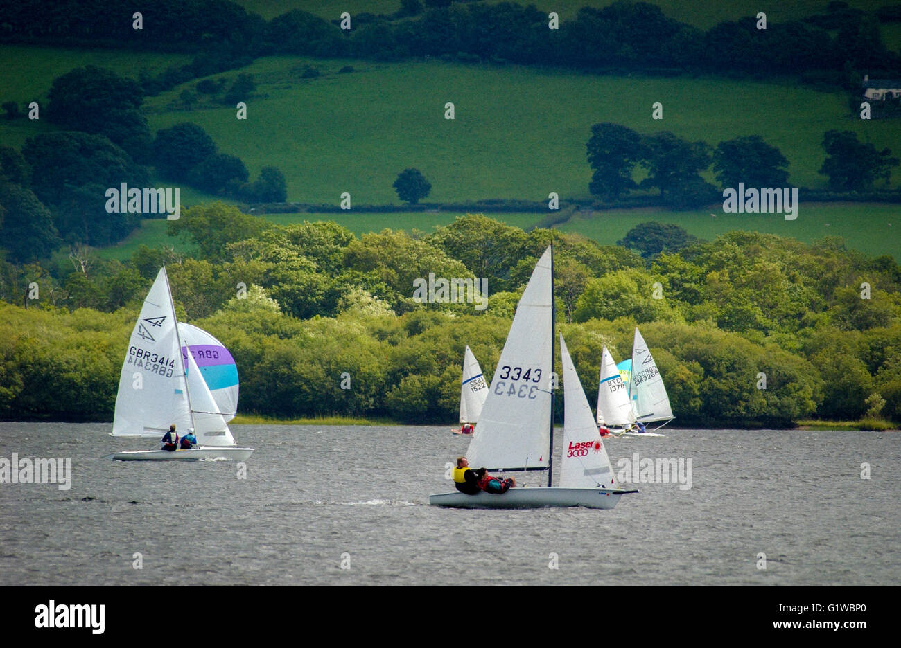 Sailing boats racing at Bassenthwaite Lake, Cumbria, UK. Stock Photo