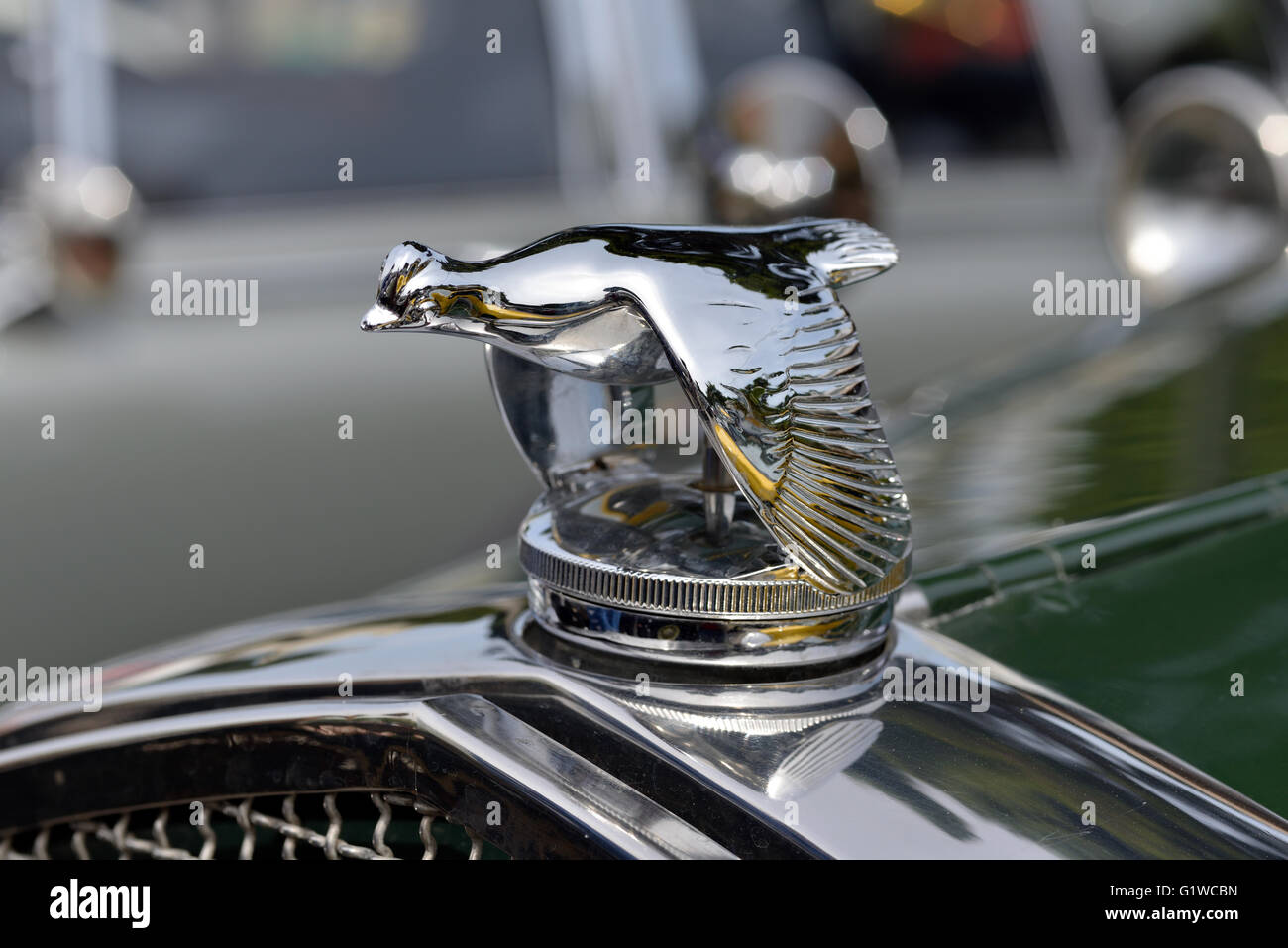 1931 Ford Model A Roadster Deluxe badge Stock Photo