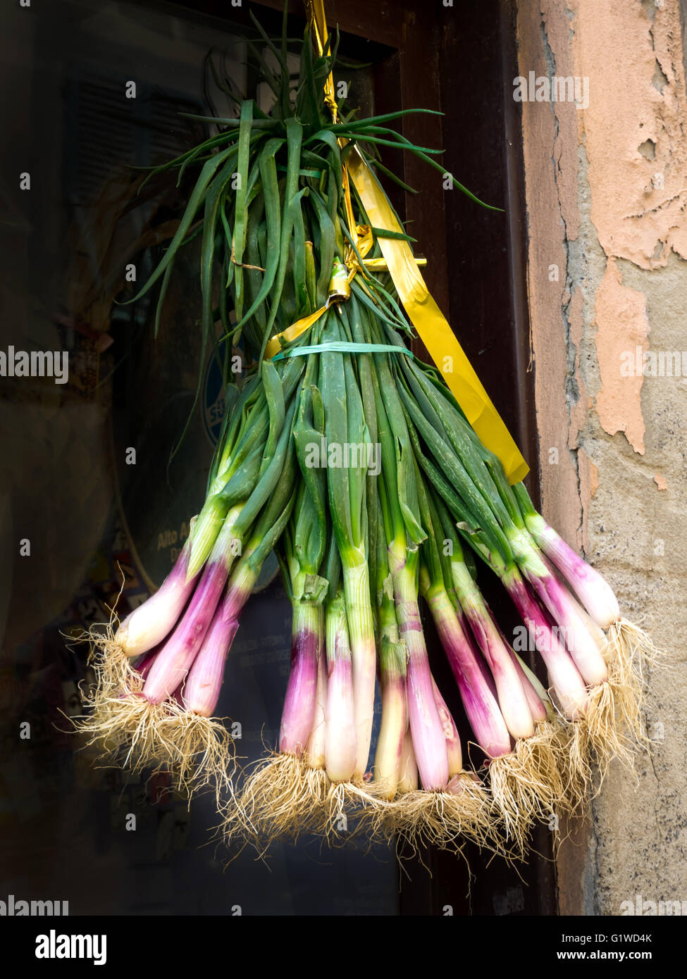 Hanging onions hi-res stock photography and images - Alamy