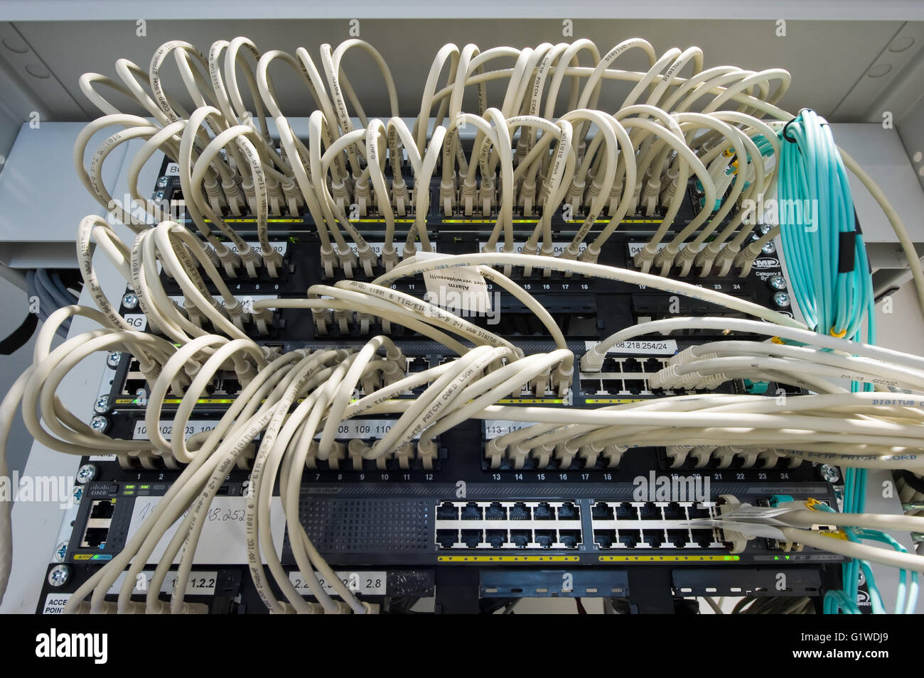 Lots of cables on the back of a database Stock Photo