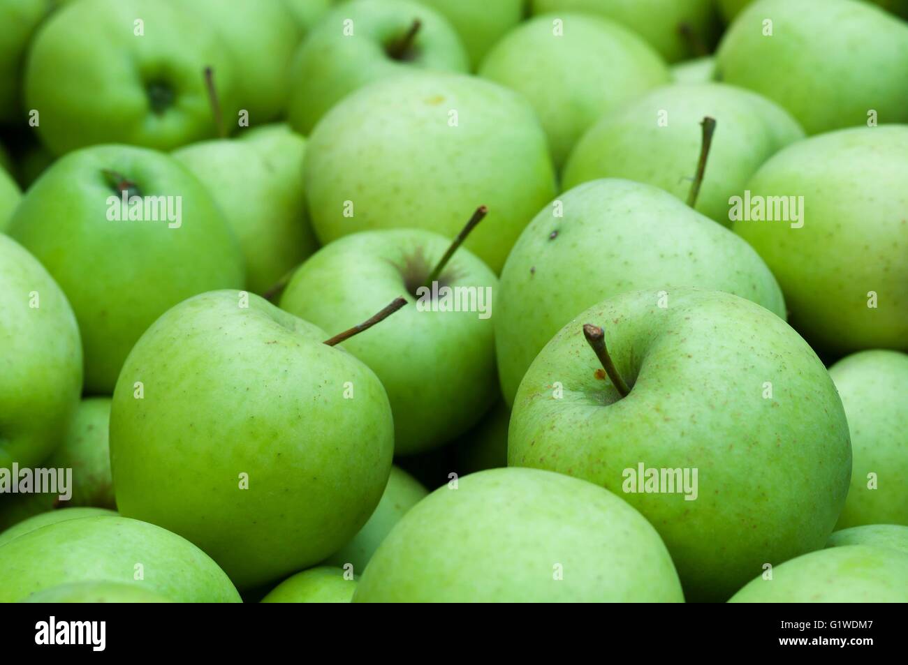 Heap of fresh green Granny Smith apples. Background image Stock Photo Alamy