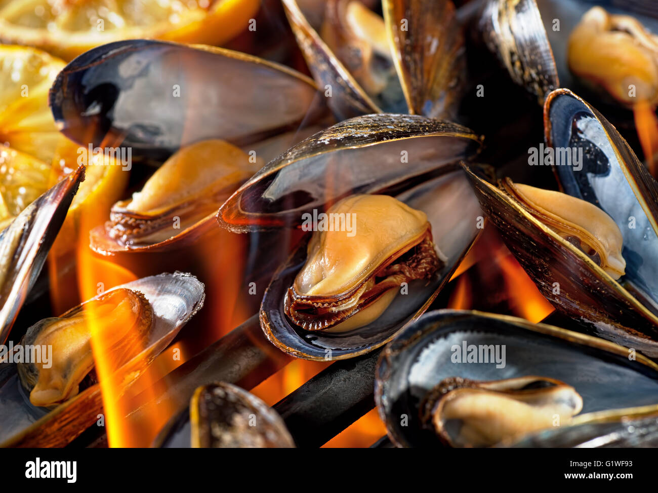 Blue mussels on flaming grill with lemon. Stock Photo