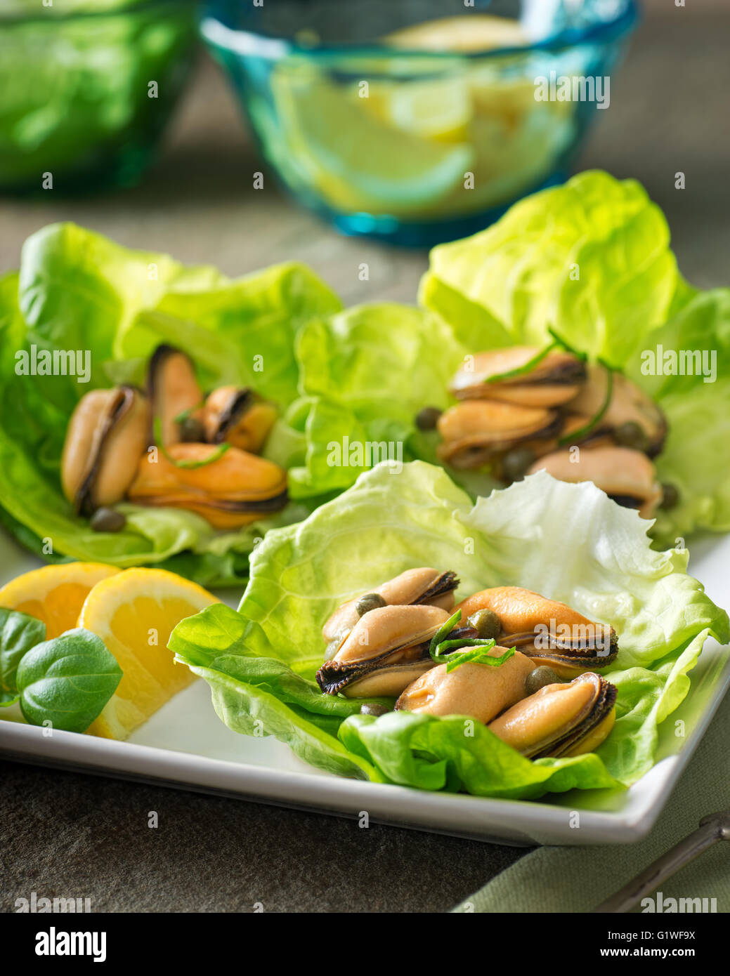 Delicious marinated mussels with capers, lemon, and basil on lettuce wraps. Stock Photo