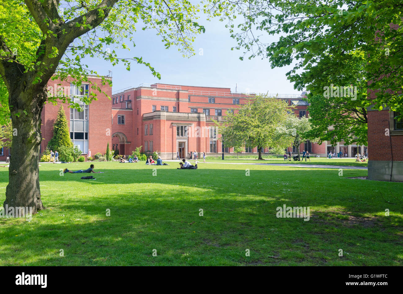 Green open spaces at Birmingham University campus Stock Photo