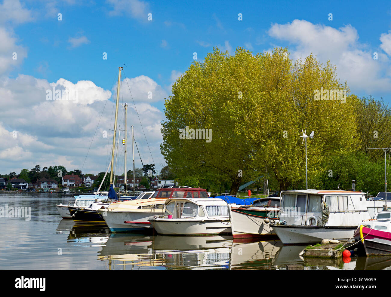 Boats moored on Oulton Broad, Norfolk Broads National Park, Norfolk, England UK Stock Photo Alamy