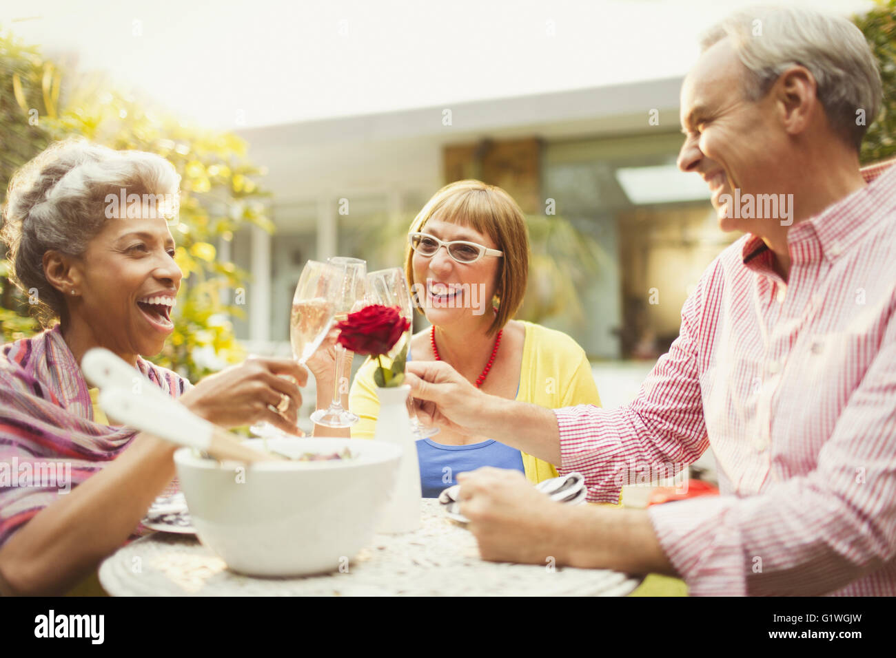 Mature friends toasting champagne flutes in garden Stock Photo