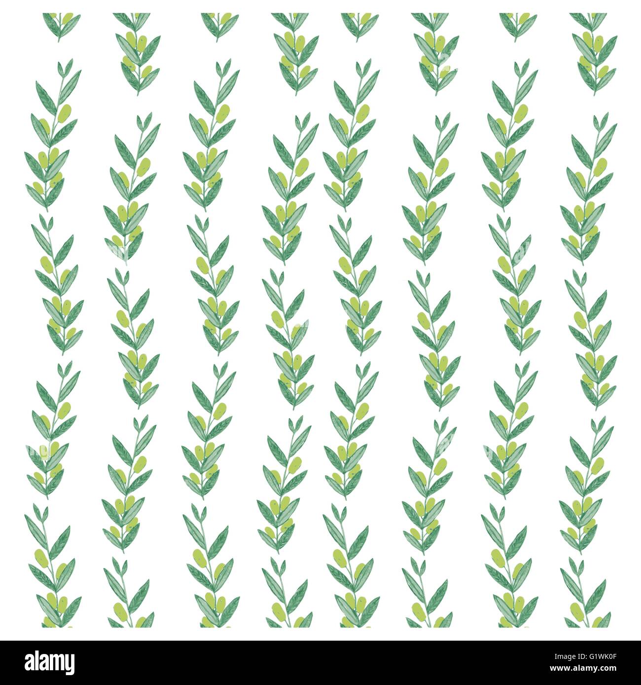 Vector watercolor pattern with olive branches. Illustration on white background. Nature and Organic concept. Natural product. Stock Vector