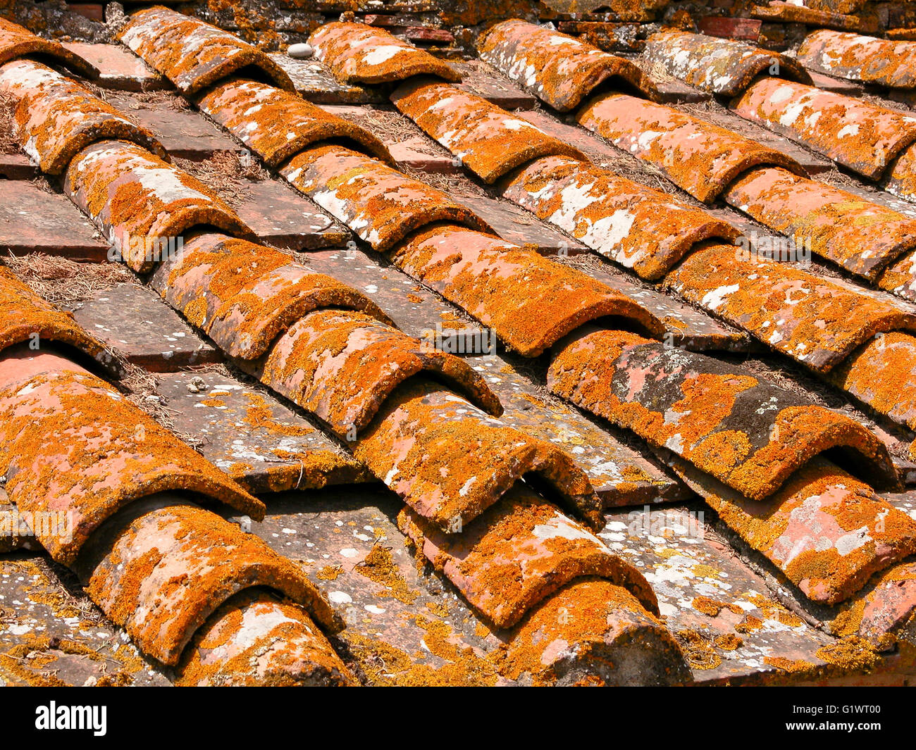 roof tiles on old cellar buildings at Fattoria di Felsina winery (Tuscany) Stock Photo
